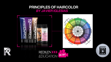 files%2Fl%2Fo%2Floreal_ppd_docebosaas_com%2Fwysiwyg_upload%2F1619758423895-PRINCIPLES+OF+HAIRCOLOR.png