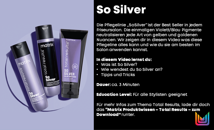 files%2Fl%2Fo%2Floreal_ppd_docebosaas_com%2Fwysiwyg_upload%2F1632302256988-SoSilver+-+Video+-+Beschreibung.png