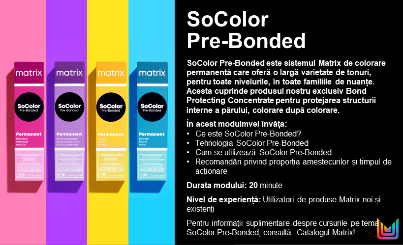 files%2Fl%2Fo%2Floreal_ppd_docebosaas_com%2Fwysiwyg_upload%2F1644208345653-MX+DMI+1001+SV+VIDEO+DESCRIPTOR_EDITABLE_rum.png