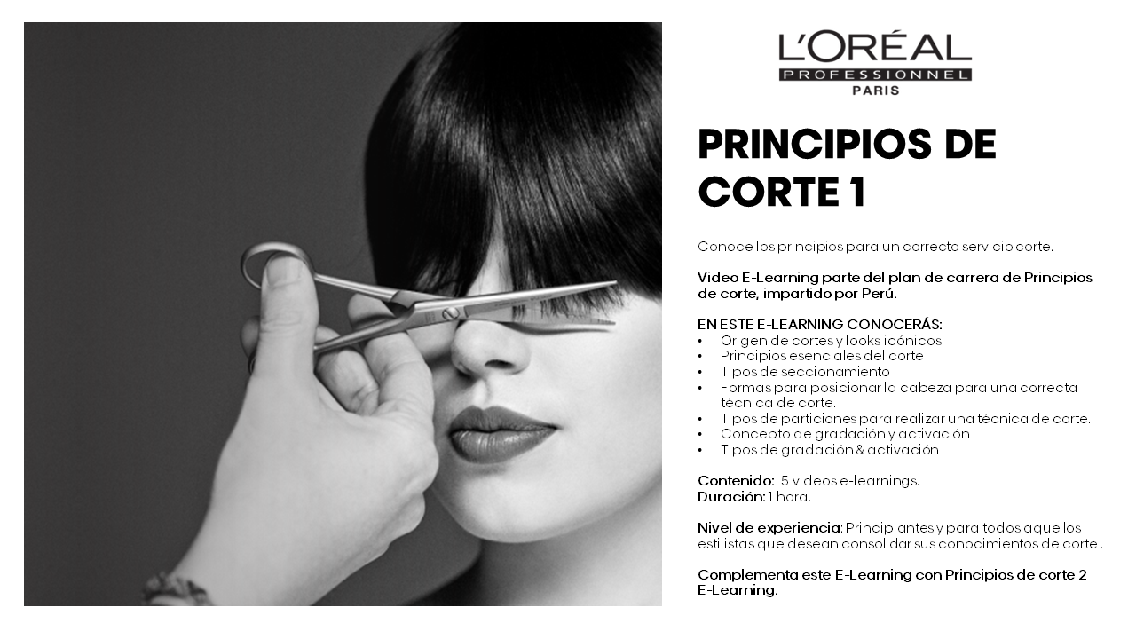 files%2Fl%2Fo%2Floreal_ppd_docebosaas_com%2Fwysiwyg_upload%2F1647289206860-Descripci%C3%B3n+principios+corte+1+.png
