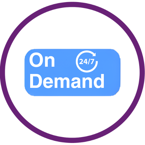 1738859302809-On Demand.png
