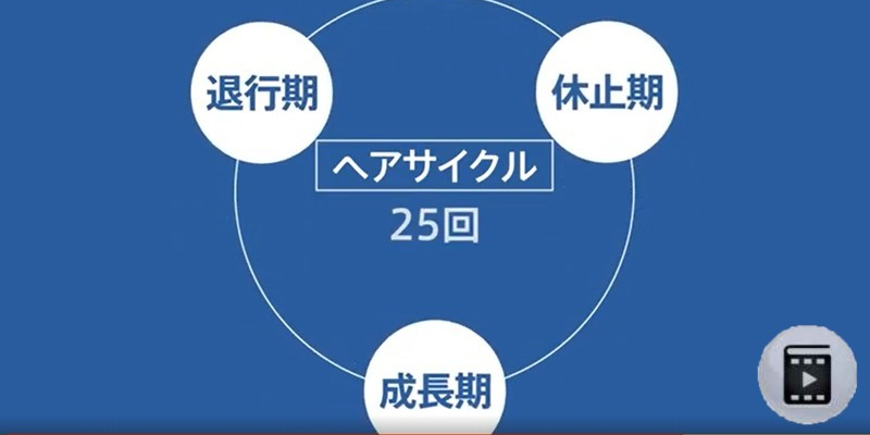 頭皮と毛髪のしくみ Thumbnail