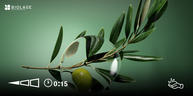 MENU USŁUG BIOLAGE PROFESSIONAL HAIR SPA  Thumbnail