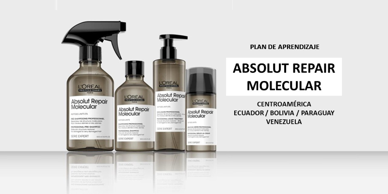 PA: ABSOLUT REPAIR MOLECULAR CENTROAMÉRICA / PLAN DE  APRENDIZAJE Thumbnail