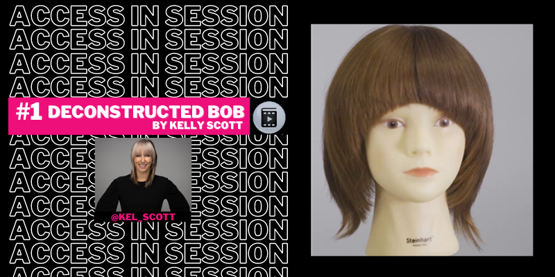 ACCESS IN SESSION #1 Deconstructed Bob Thumbnail