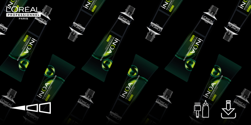 Descarregável - iNOA Ficha Técnica