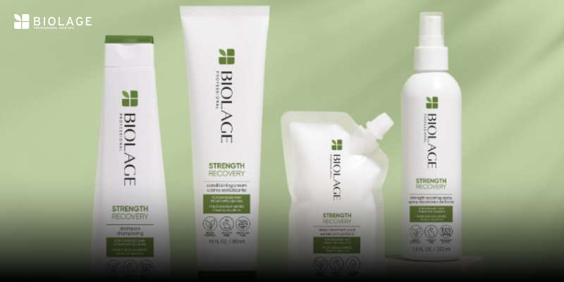 Biolage Strength Recovery | Downloadable | Free  Thumbnail