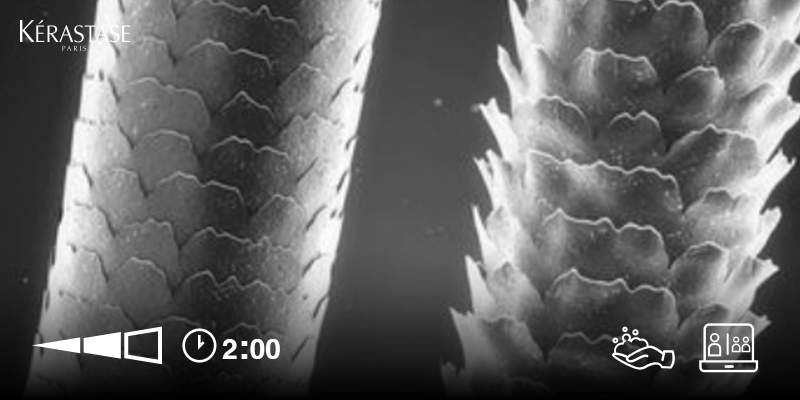 PE FUNDAMENTOS DE LA TRICOLOGIA|Webinar|Kérastase