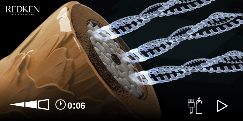 VIDÉO - PRINCIPLES OF HAIRCOLOR - WHAT IS HAIR ? Thumbnail