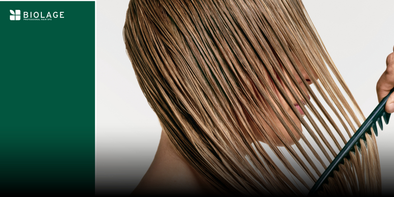28 ЛИПНЯ ВЕБІНАР: BIOLAGE PROFESSIONAL HAIR SPA Thumbnail