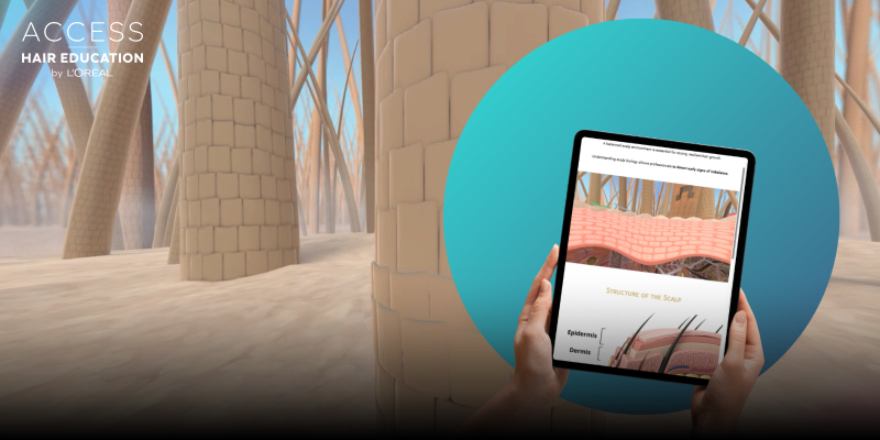 Scalp Microbiome Balance | Inside Hair & Scalp: Biological Regulation