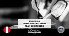 PE: PRINCIPIOS DE MECHAS Y BALAYAGE|PLAN DE CARRERA Thumbnail