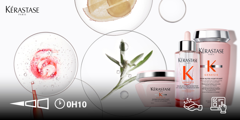 MX Genesis, la gama anticaída Thumbnail