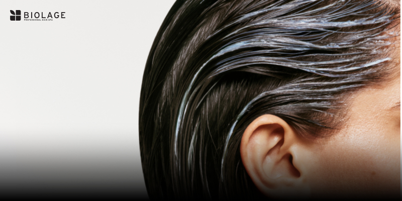 Biolage Scalp Sync Collection | Professional Scalp Care and Balance | Product Knowledge | Video | Free Thumbnail