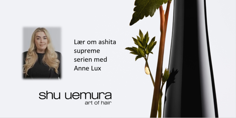 Lær om Ashita Supreme Thumbnail