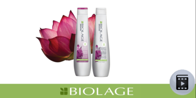 BIOLAGE FULL DENSITY (ENG) Thumbnail