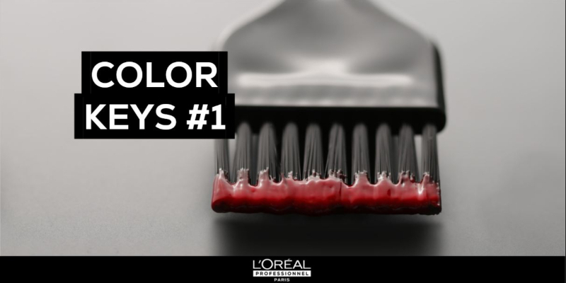 [COLOR KEYS 1 Paket] Der Lernplan AT Thumbnail