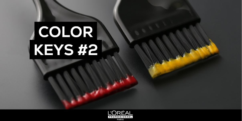 [COLOR KEYS 2 Paket] - Der Lernplan Thumbnail