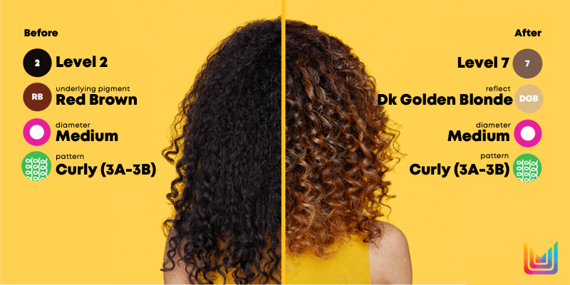 SUNKISSED BALAYAGE TECHNIQUE FEAT. MICHELLE O'CONNOR | MATRIX Thumbnail