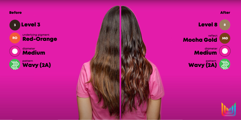 MULTI MELTED SERVICE | MATRIX  | VIDEO Thumbnail