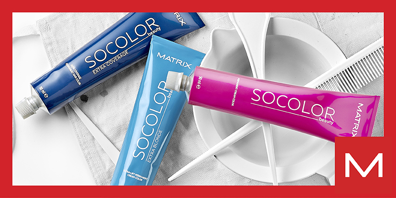 LEARNING PATH MATRIX SEPTIEMBRE Thumbnail