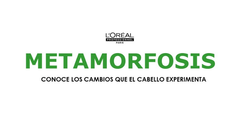 PA: METAMORFOSIS DEL CABELLO / CENTROAMÉRICA