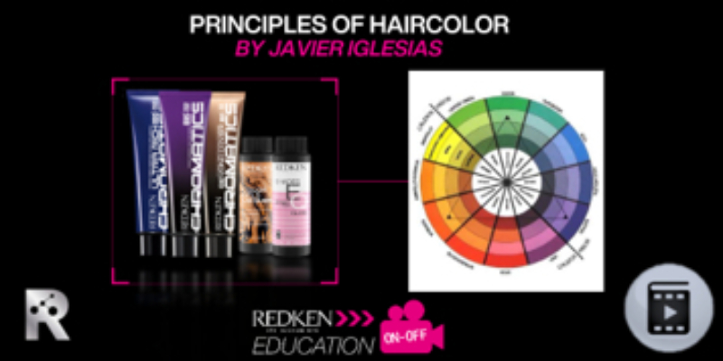 PRINCIPIOS DE COLORIMETRÍA|REDKEN