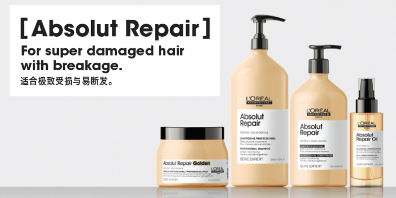 Serie Expert | Absolut Repair | EN/中文 | LP | E-Learning Thumbnail