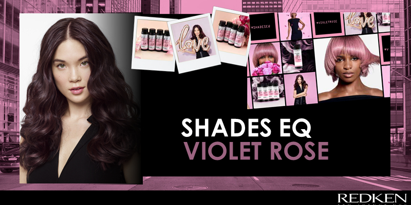 SHADES EQ: VIOLET ROSE Thumbnail