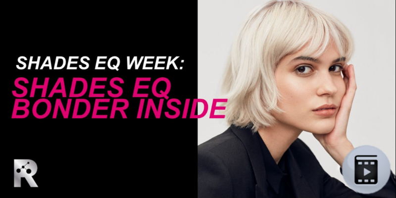 SHADES EQ WEEK: SHADES EQ BONDER INSIDE
