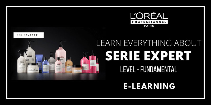 SERIE EXPERT -the relaunch-ENG Thumbnail