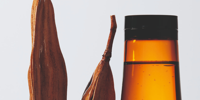 the art of hydration - moringa extract in urban moisture range (ENG) Thumbnail