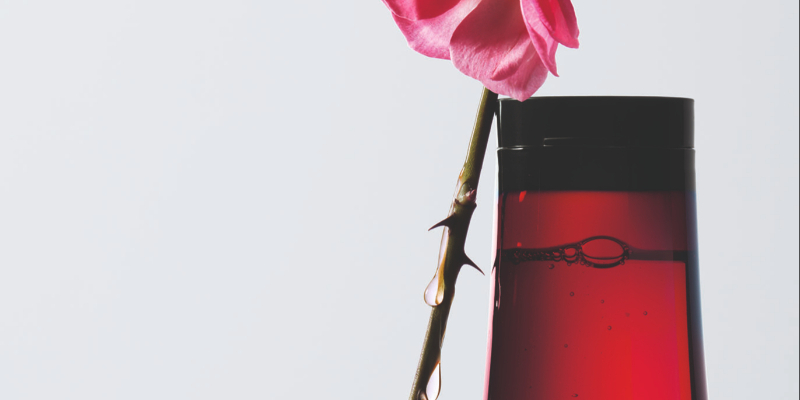 the art of varnish - musk rose oil in color lustre range (ENG) Thumbnail