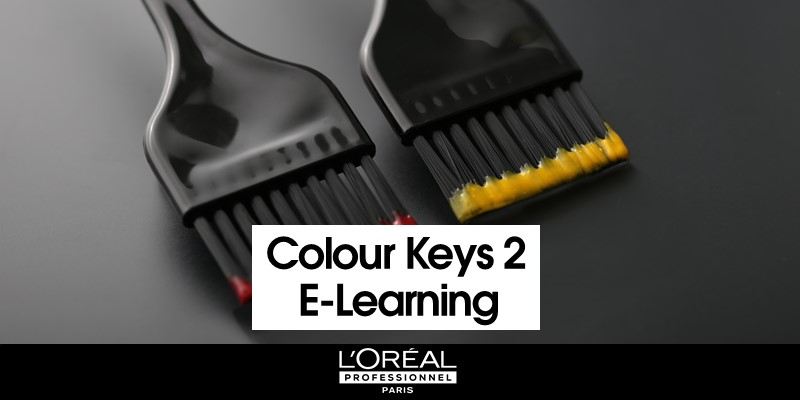 INTRO TO COLOUR KEYS 2 E-LEARNING