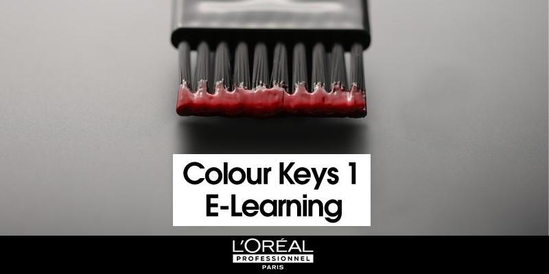 INTRO TO COLOUR KEYS 1 E-LEARNING