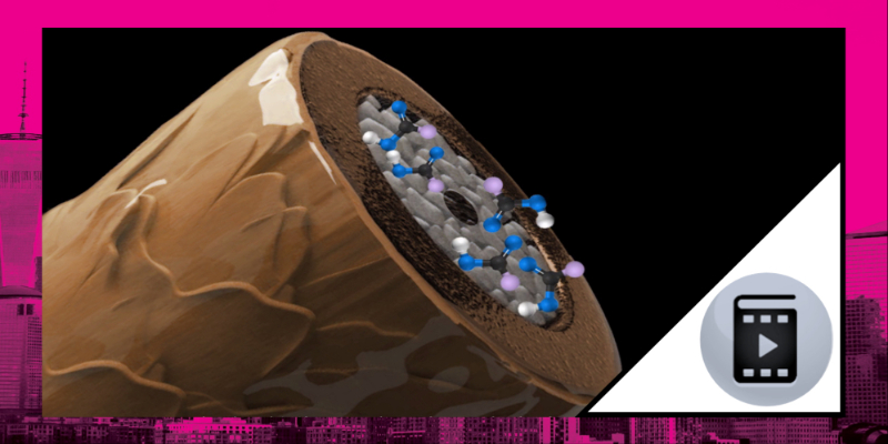 PRINCIPLES OF HAIRCOLOR - WHAT IS HAIR (ENG avec Soustitres FR) Thumbnail