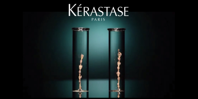 Thérapiste - La plante de résurrection Thumbnail