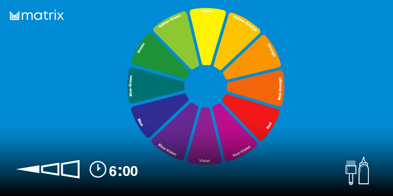 Hairhouse Fast Track Regional Day 4: Color Correction Removal and Filling | Color & Lightening Hair | Matrix | Free* Thumbnail