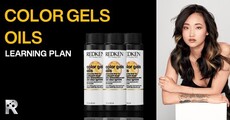 COLOR GELS OILS: LEARNING PLAN Thumbnail