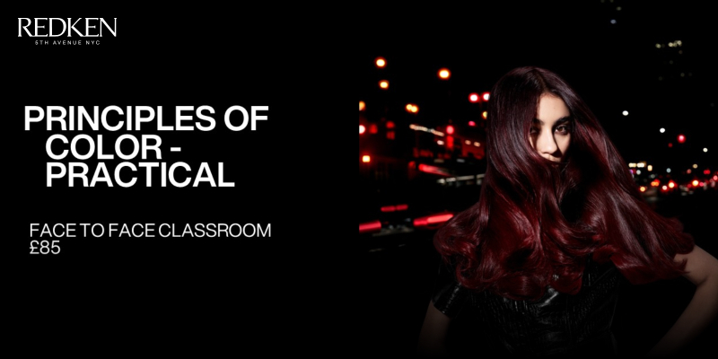 PRINCIPLES OF COLOR - PRACTICAL | Redken Thumbnail