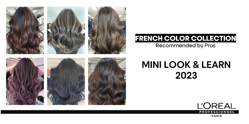 French Color Look & Learn - ID Thumbnail