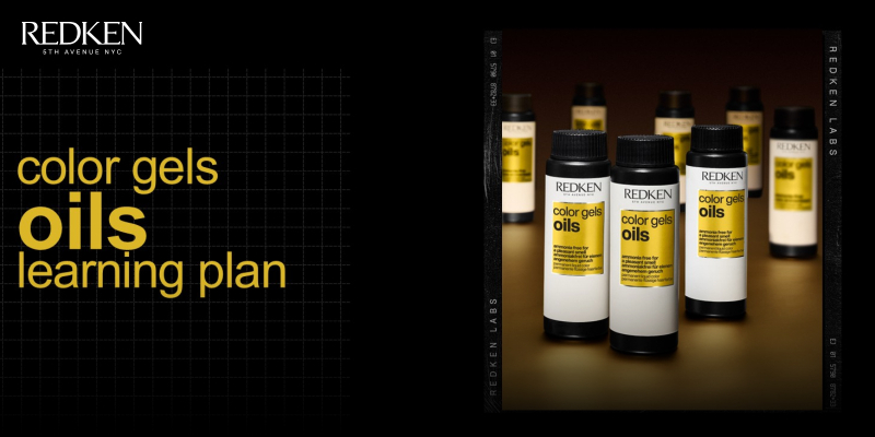 COLOR GELS OILS - THE PROFESSIONAL'S GUIDE TO VIBRANT, LASTING COLOR - LEARNING PLAN Thumbnail