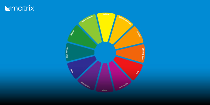 Hairhouse Fast Track Regional Day 4: Color Correction Removal and Filling | Color & Lightening Hair | Matrix | Free Thumbnail