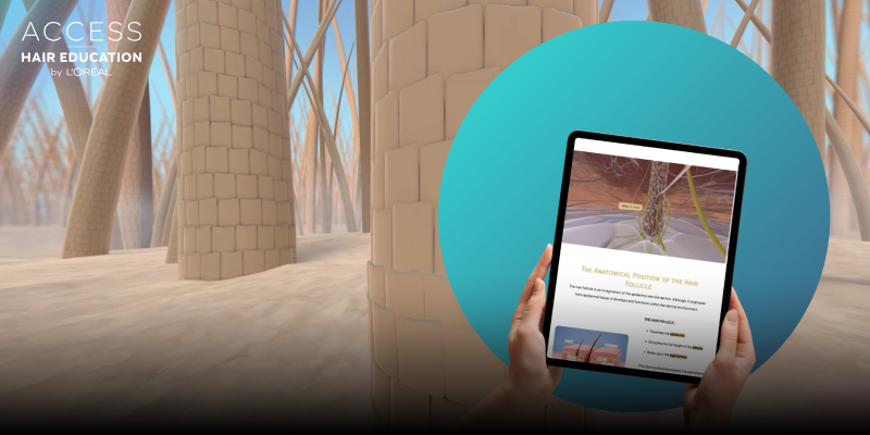 Hair Follicle Structure | Inside Hair & Scalp: The Origins