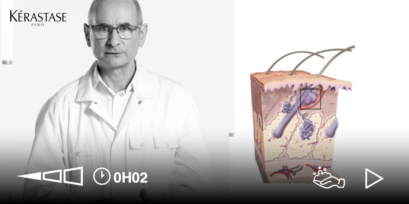 Anatomía del Cuero Cabelludo  | Función y Complejidad 