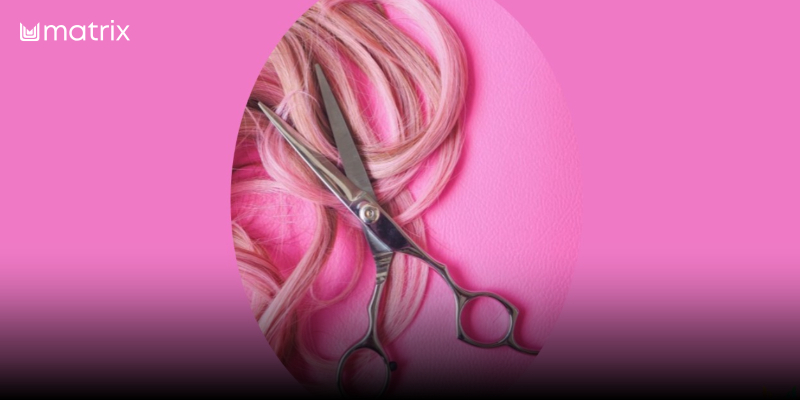 Hairhouse Fast Track Regional Day 5: Complete The Look | Color & Lightening Hair | Matrix | Free Thumbnail