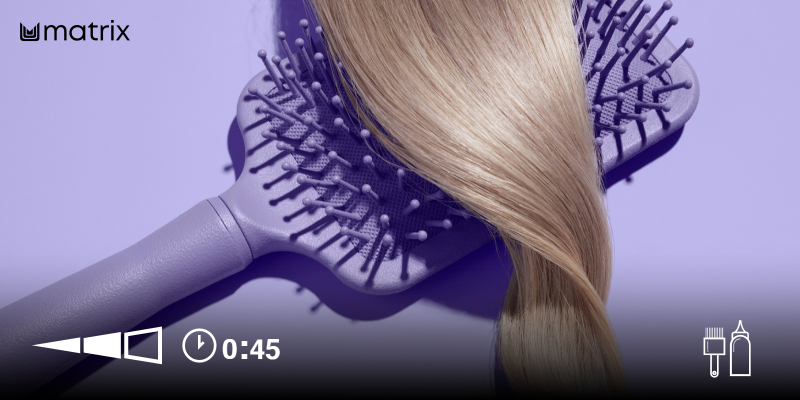 BLOND EKSPERT II | Przewodnik Techniczny Thumbnail