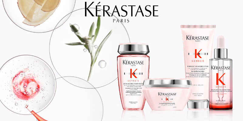 GENESIS (FR) Thumbnail