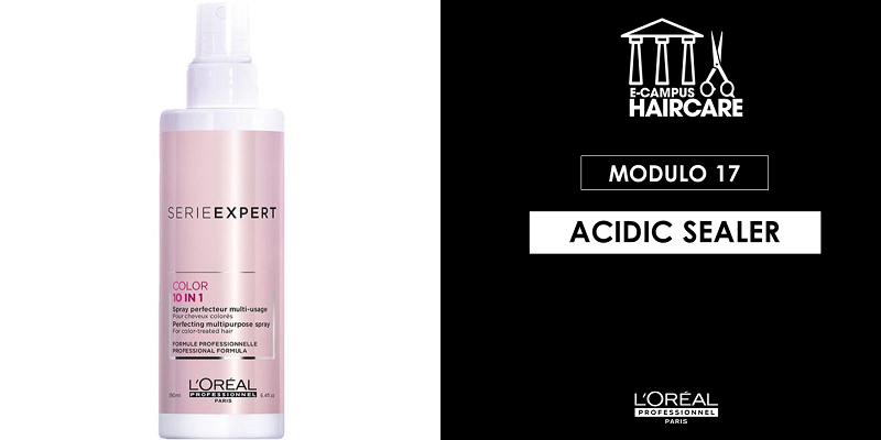 E-CAMPUS HAIRCARE - MODULO 17 : ACIDIC SEALER Thumbnail