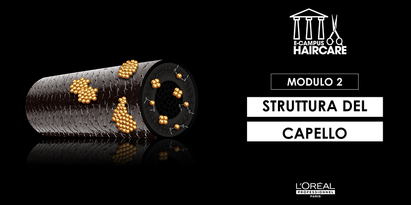 E-CAMPUS HAIR CARE : MODULO 2: LA STRUTTURA DEI CAPELLI Thumbnail